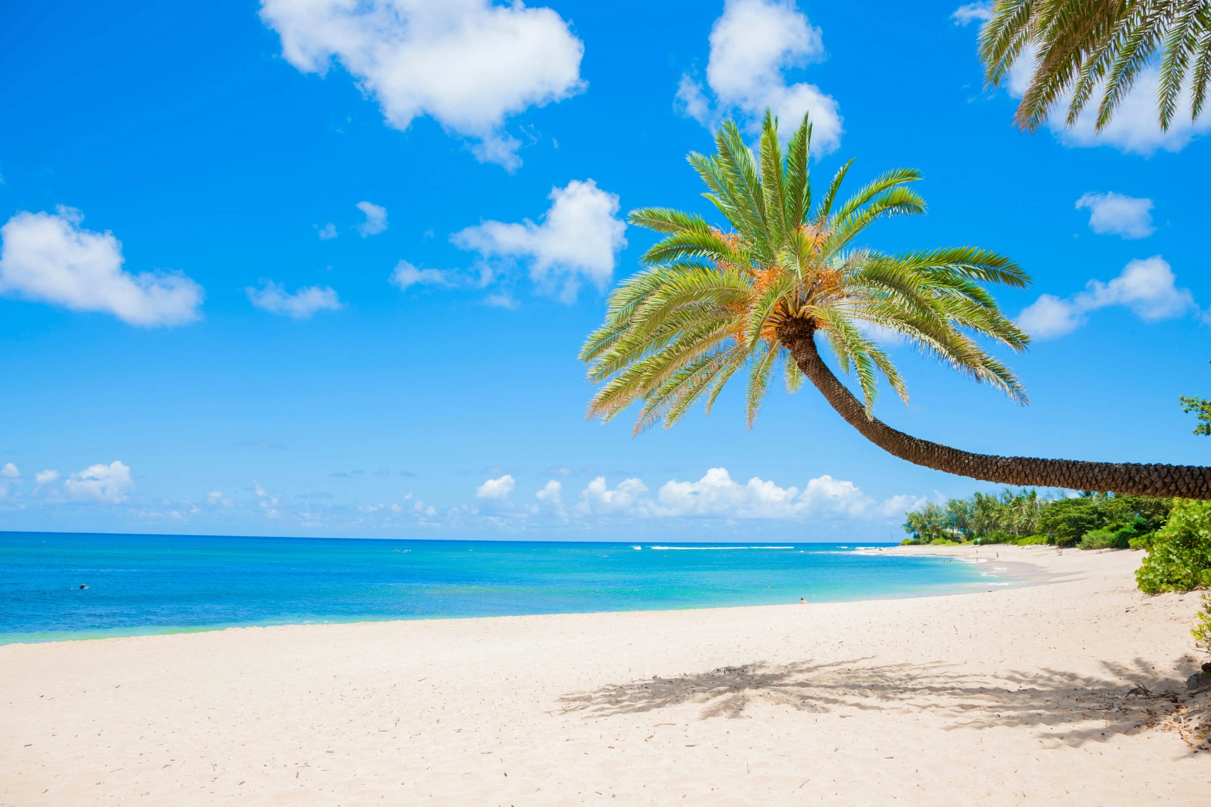 All-Inclusive Hawaii & Pacific Discovery Voyage with Honolulu & Vancouver Stays – Celebrity